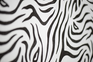   2D   Zebra 1200*1350 